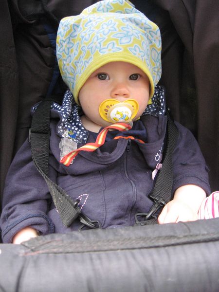 450x600 pixels (80K)